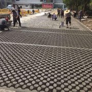 重慶混凝土植草地坪施工客戶見(jiàn)證